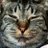 frnt_2's profile image