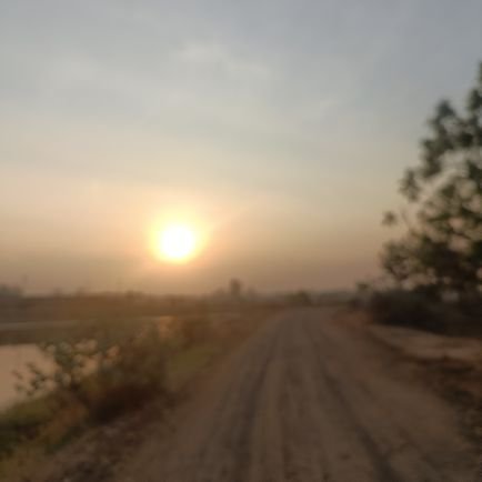 แสง แรก | sunny