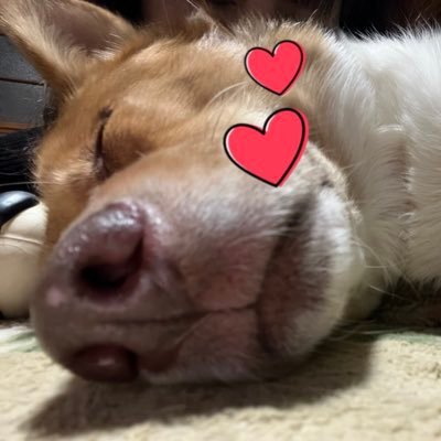 ケコ💓