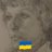 AstuteCitizen's profile image
