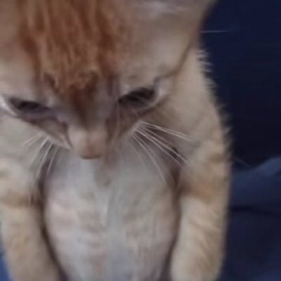 madddyphillipss's profile picture. CD (crossdresser) with a cute bubble butt :)