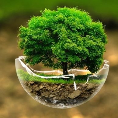 nature_91886's profile picture. 