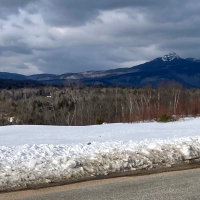 BoggisNews's profile picture. Buy the ticket, take the ride.