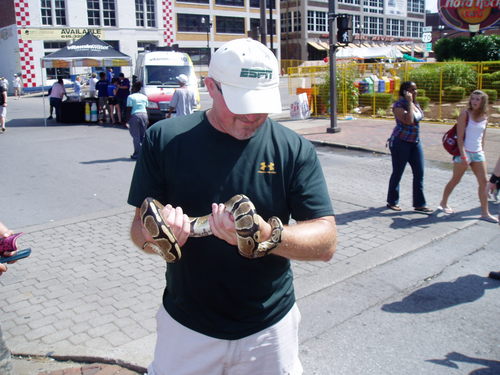 dd4volsCPA's profile picture. Nerd Accountant