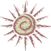 Spectrum Life (@spectrumlife) Twitter profile photo Spectrum Life (@spectrumlife) Twitter profile photo