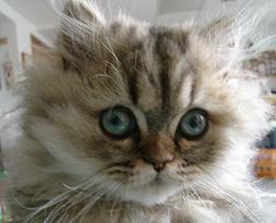 msd_nd's profile picture. 