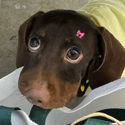 gialfn's profile picture. 🕯️Kim  Namjoon🕯️Kim Seokjin🕯️Min Yoongi🕯️Jung Hoseok🕯️Park Jimin🕯️Kim Taehyung🕯️Jeon Jungkook🕯️@BTS_twt