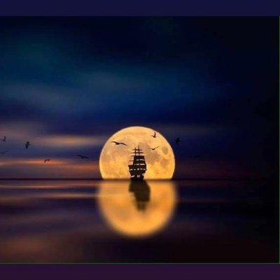 M_Luna0809's profile image