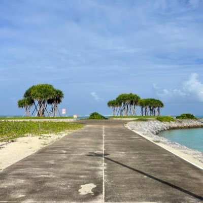 mogunyang1's profile picture. 