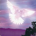 Wayne Pitts - @Wayne_pitts - Twitter