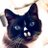 jen_andrasko's profile image
