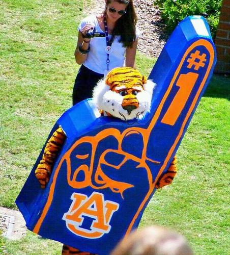 #WDE #AUBURNFOOTBALL AUBURNTALK