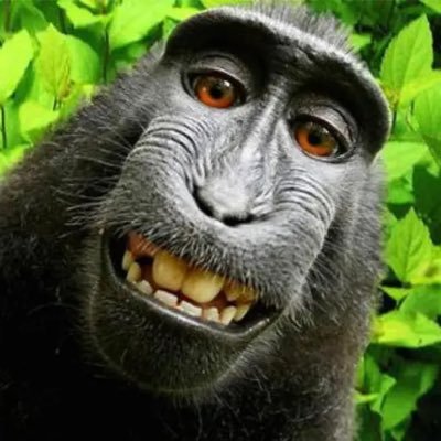 jackjack18540's profile picture. 