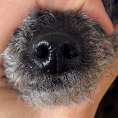 Bada_Wavelet's profile picture. 백도 구독 겸 사담계•• 입니다!