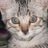 Renz659876's profile image