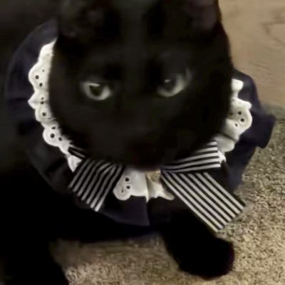 Jeon0109_'s profile picture. 𝗕𝗧𝗦 “@BTS_twt ✹ ♡ ᴏᴛ7 𝘔𝘺 𝘴𝘦𝘷𝘦𝘯 | 💜 | 𝘽𝙞𝙡𝙡𝙠𝙞𝙣𝙋𝙋 🐧| 𝘌𝘯𝘩𝘺𝘱𝘦𝘯 | 𝗝𝗶𝗺𝗺𝘆𝘀𝗲𝗮💜🩵🥑🌊ᴀʀᴍʏ ʙᴀɴɢᴛᴀɴ ғᴏʀᴇᴠᴇʀ #จอน7รีวิว #เจี๊ยบเต๋ารีวิว