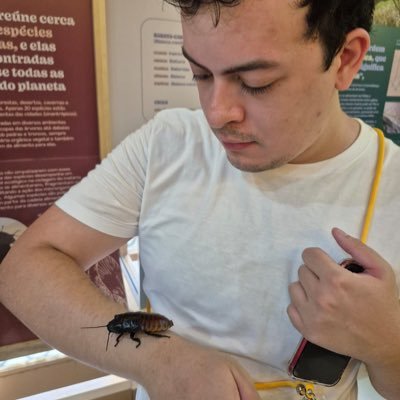 tiago_bvm's profile picture. O Réquiem das Crianças: https://t.co/NqBlreFLn0