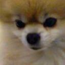 Barbara Wilt - @pommombjw - Twitter