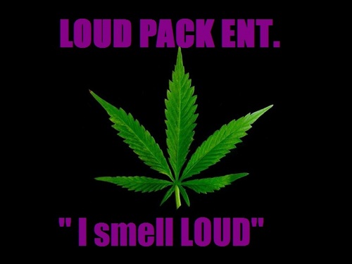 iAmLoudPack10's profile picture. You Wonderin Y Yo Bitch Actin Up Its Cuz She Dun Came Round & Got Packed Up!
#Follow @iAmLoudPack10
For Booking Email Us iAmLoudPack@gmail.com #HitMakers!