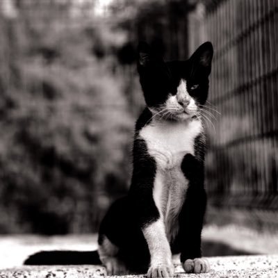 yavyavyavyavyav's profile picture. 