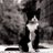 yavyavyavyavyav's profile image
