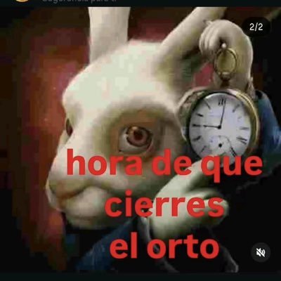 JotaCorrea222's profile picture. 