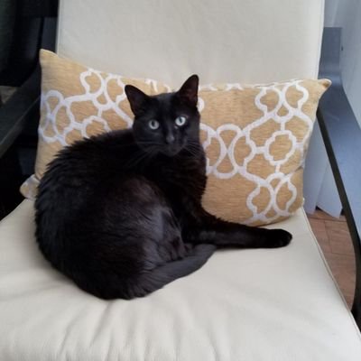 Lauraslifeonink's profile picture. Fear is stupid-so are regrets ~Marilyn Monroe. What's your story?!🇰🇪🇹🇿🌊 💙#HumanRights☮ Lets do better, TOGETHER #resist #peace🏳❤ 💛💚🧡I🩵💜🖤🤍