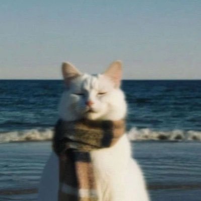 TheGiraffesv's profile picture. billions and then we log off forever