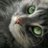 MaryC_Love's profile image
