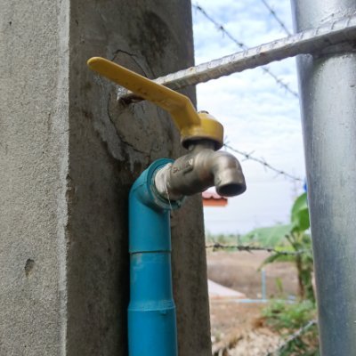 WMygod35651's profile picture. 