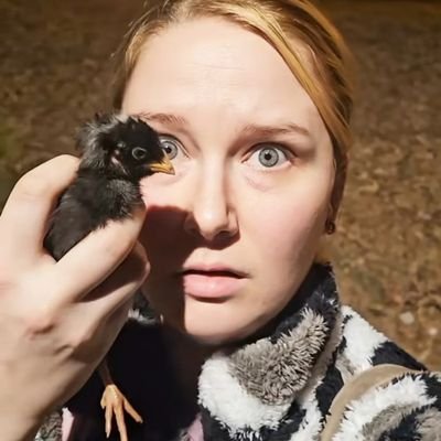 the bird now known as Chatty Cathy was rescued