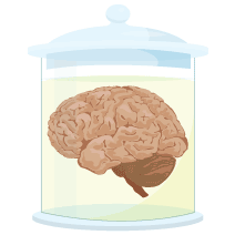 neuroghetto's profile picture. Combined aggregate feed for non-network Neuroscience Blogs. Compiled by @neurocritic.