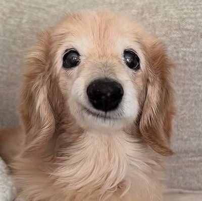 brdasnt's profile picture. ㅤㅤ
𓋹    

ㅤㅤ