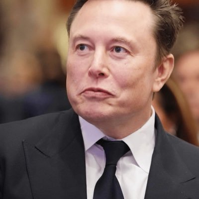 Teslacarmkm's profile picture. Tesla Makes Its Largest Investment Bet Yet in Its Own Vision