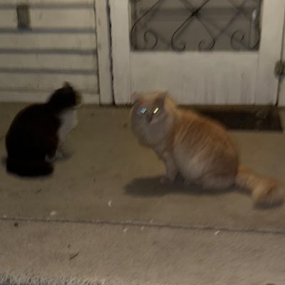 SCRIBBLExDOODLE's profile picture. 🤐