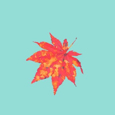𝕂𝕒𝕖🍁