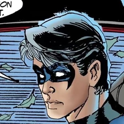 fieldofberriez's profile picture. 20 | they/she | music freak | 🔞 only follow! | Nightwingthusiast & Birdflash fan