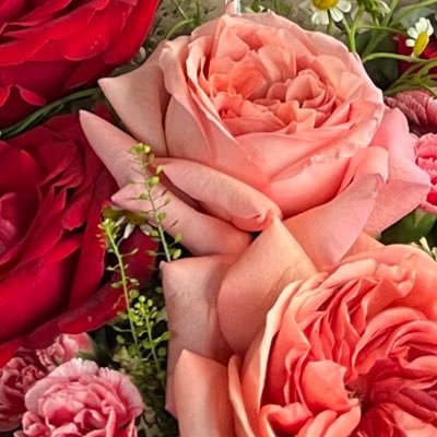 byHisGrace2146's profile picture. 你好!♡ be rich, be pretty, be happy 🌸🌸🌸🌸🌸 disclaimer: 99% tweets are fictitious 🤪 speak english/indonesian/javanese