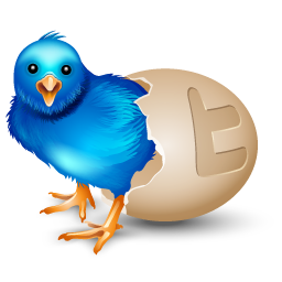 Volg ons, dan volgen wij jouw!
If you follow us, we will follow you back.