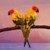 Antonio das Mortes to watch, R. Kelly to listen. About me: obtrusive and vulgar