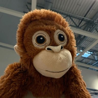 chamonkisol's profile picture. The official $Chamonki on Solana, the biggest Ikea orangutan on TikTok Bq4SyPAvsHRq6ykCNnpofP7BFcXvHafoZoKXQGE2pump