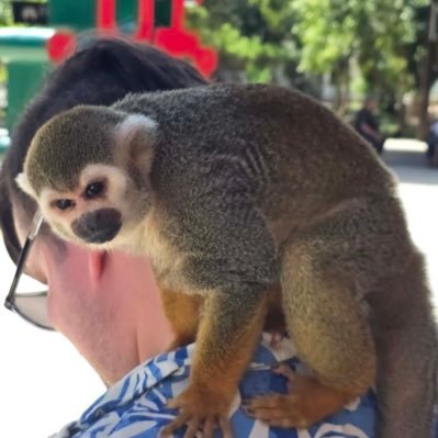 ActualT93's profile picture. 