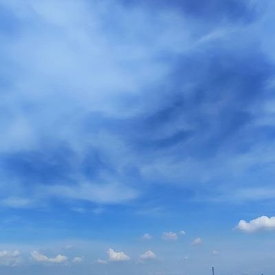 BeycmasPha67011's profile picture. 💜🐠🦋