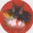LissZieSan_prod's profile image