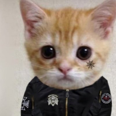 sneednorwood's profile picture. 