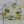 Danganronpa: Chartreuse Chasms (@DanganronpaCC) profile picture