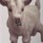 nknkmra's profile image