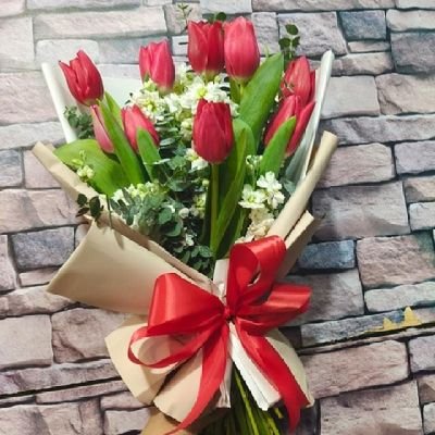 ixchelgothic2's profile picture. 🇲🇽