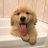 xln16957642's profile image