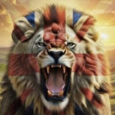 TrueBrit7125's profile picture. 🇬🇧🏴󠁧󠁢󠁥󠁮󠁧󠁿🏴󠁧󠁢󠁳󠁣󠁴󠁿🏴󠁧󠁢󠁷󠁬󠁳󠁿🇮🇪🇬🇧
No-one of importance. Just a man trying to enjoy his life. 
Vote Restore